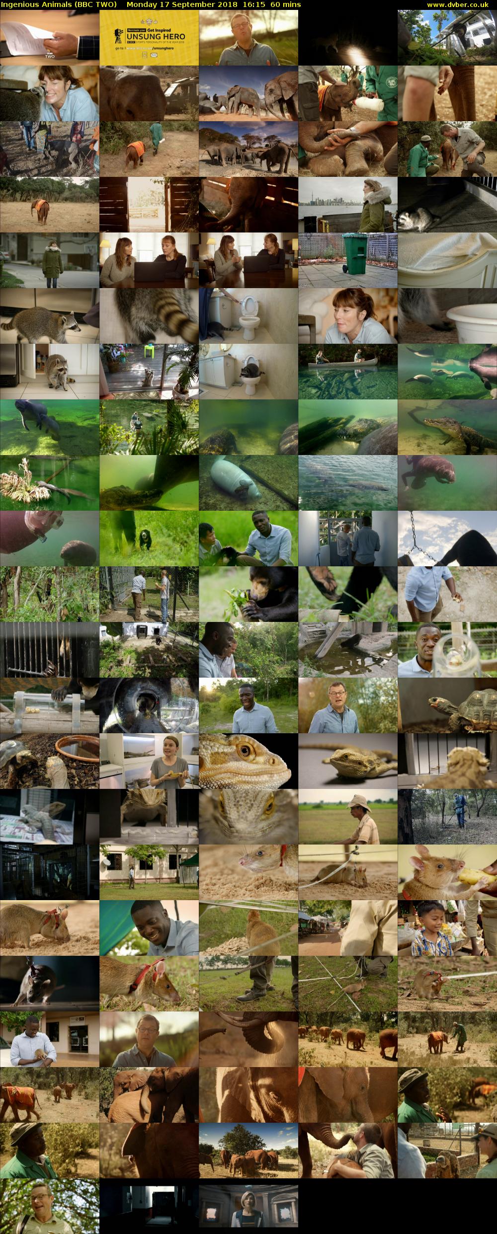 Ingenious Animals (BBC TWO) Monday 17 September 2018 16:15 - 17:15