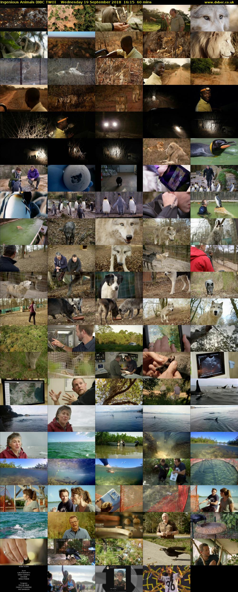 Ingenious Animals (BBC TWO) Wednesday 19 September 2018 16:15 - 17:15