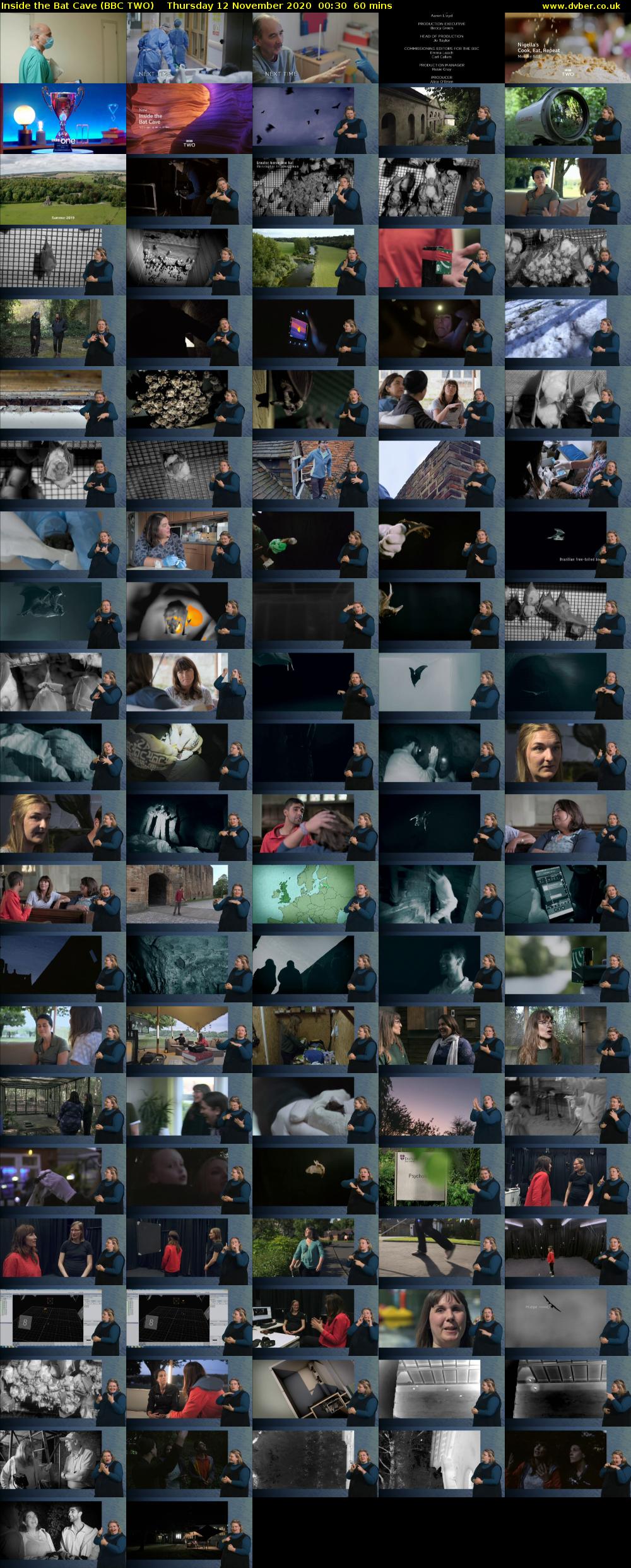Inside the Bat Cave (BBC TWO) Thursday 12 November 2020 00:30 - 01:30