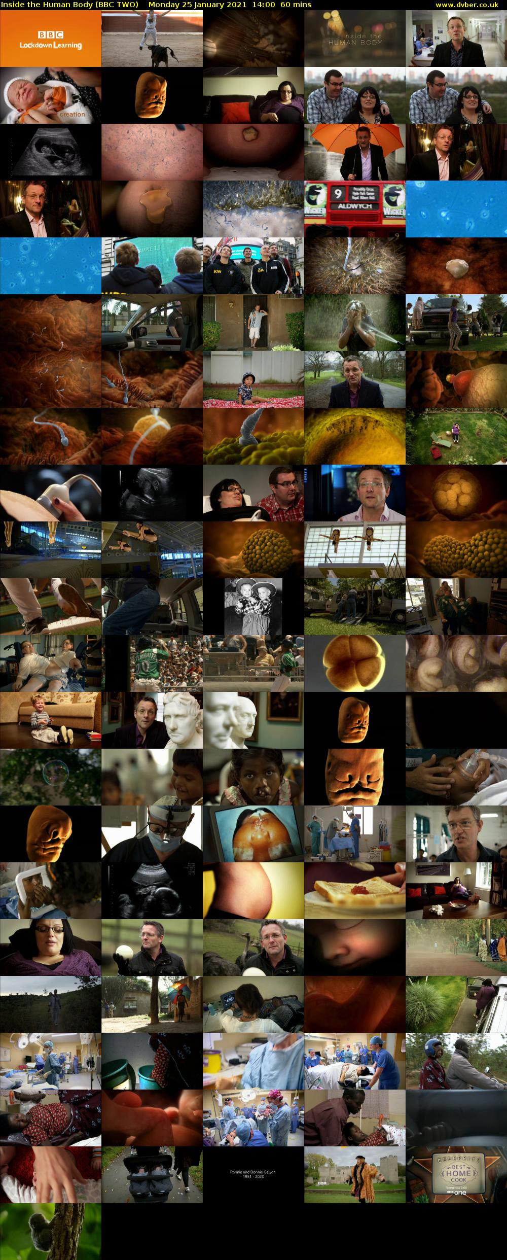 Inside the Human Body (BBC TWO) Monday 25 January 2021 14:00 - 15:00