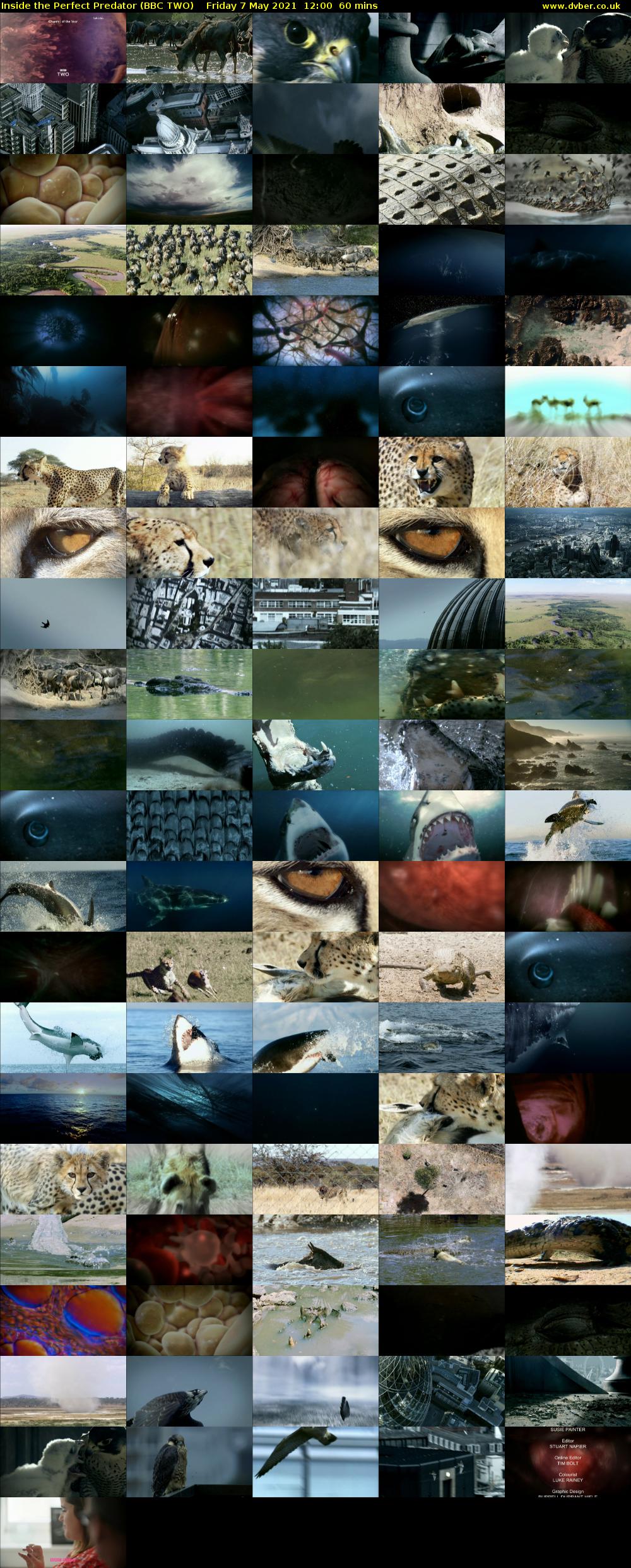 Inside the Perfect Predator (BBC TWO) Friday 7 May 2021 12:00 - 13:00