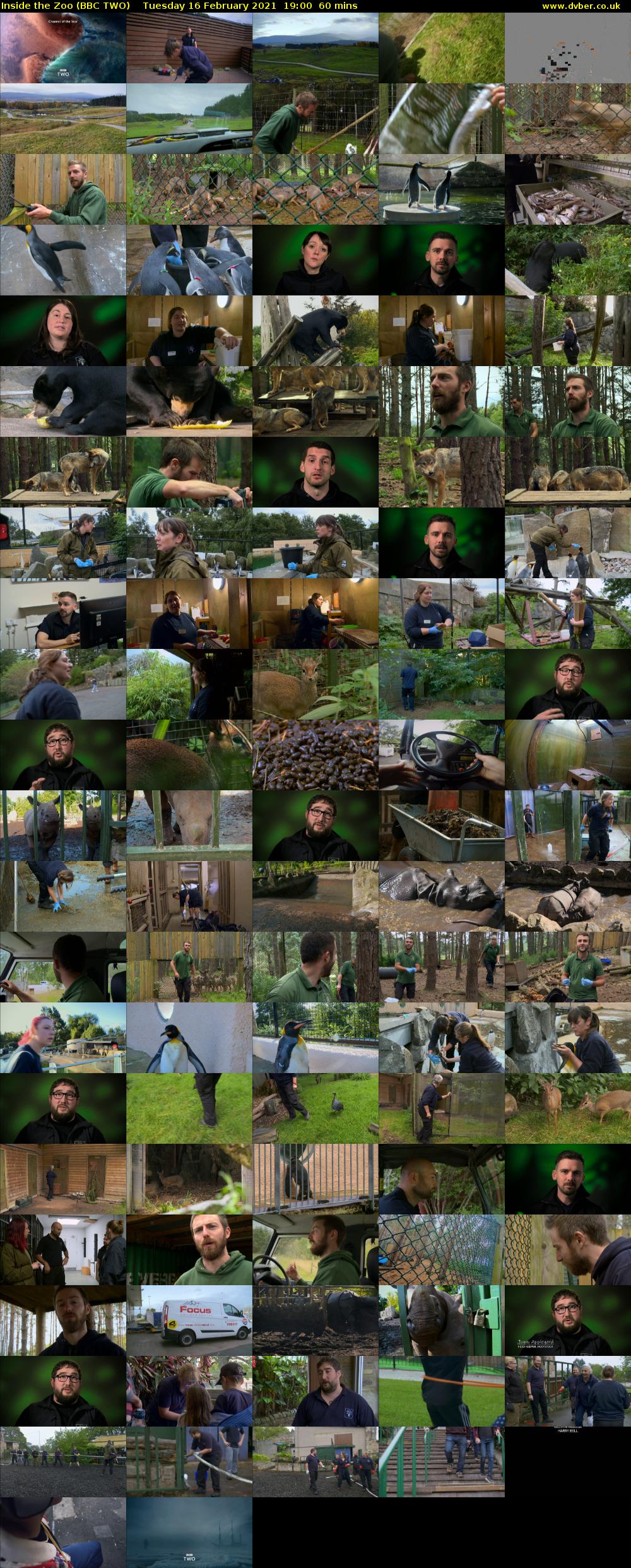 Inside the Zoo (BBC TWO) Tuesday 16 February 2021 19:00 - 20:00