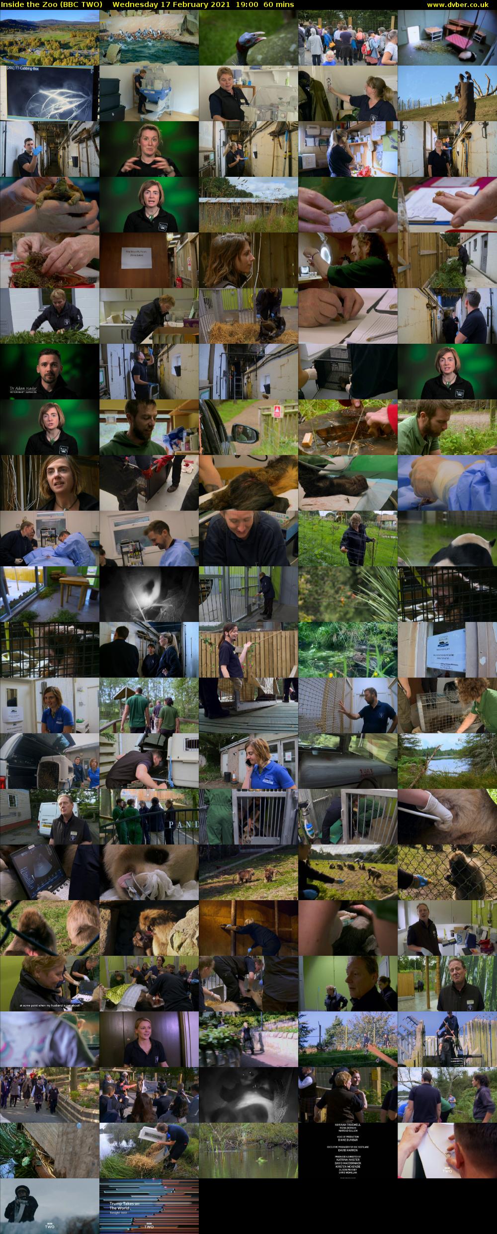Inside the Zoo (BBC TWO) Wednesday 17 February 2021 19:00 - 20:00