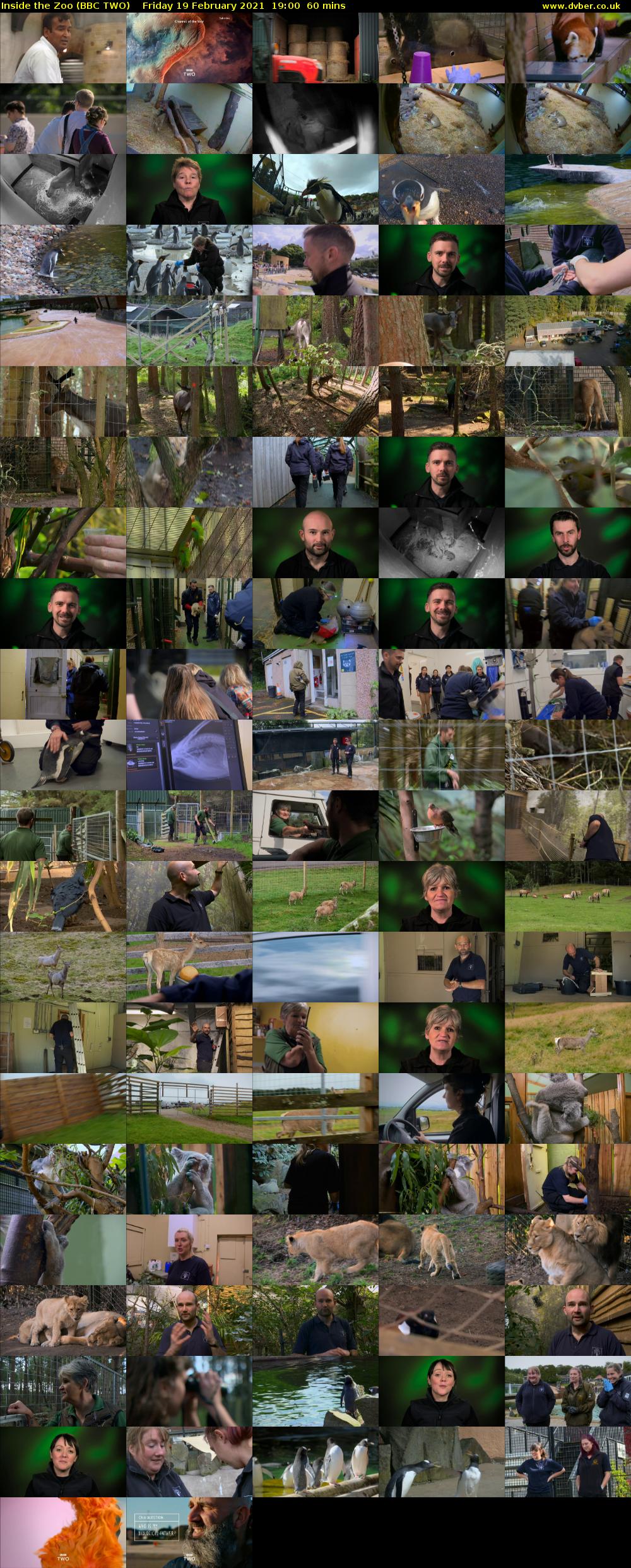 Inside the Zoo (BBC TWO) Friday 19 February 2021 19:00 - 20:00