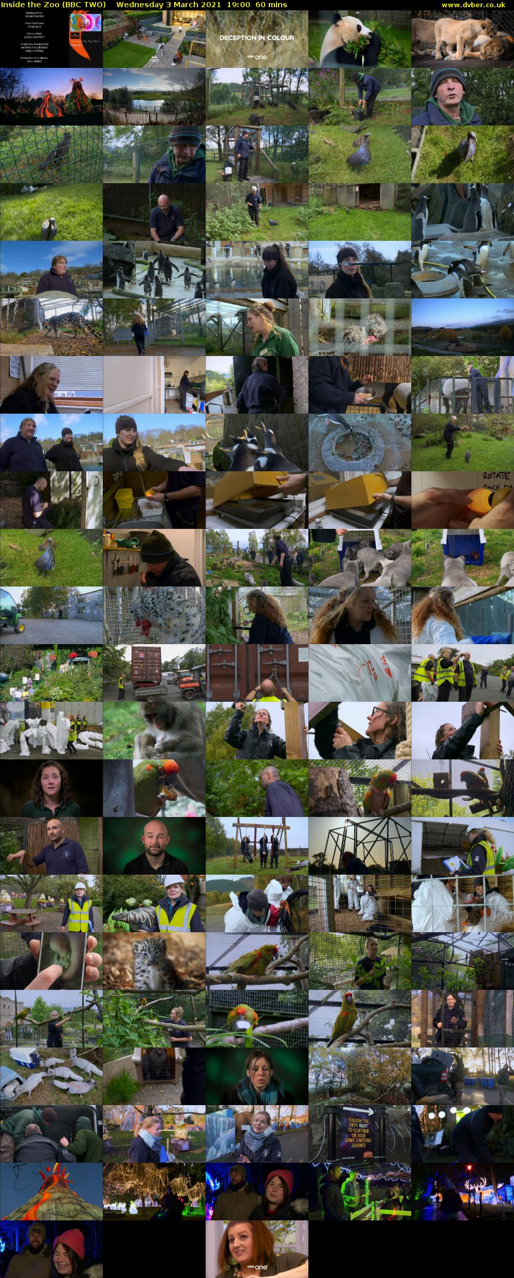 Inside the Zoo (BBC TWO) Wednesday 3 March 2021 19:00 - 20:00