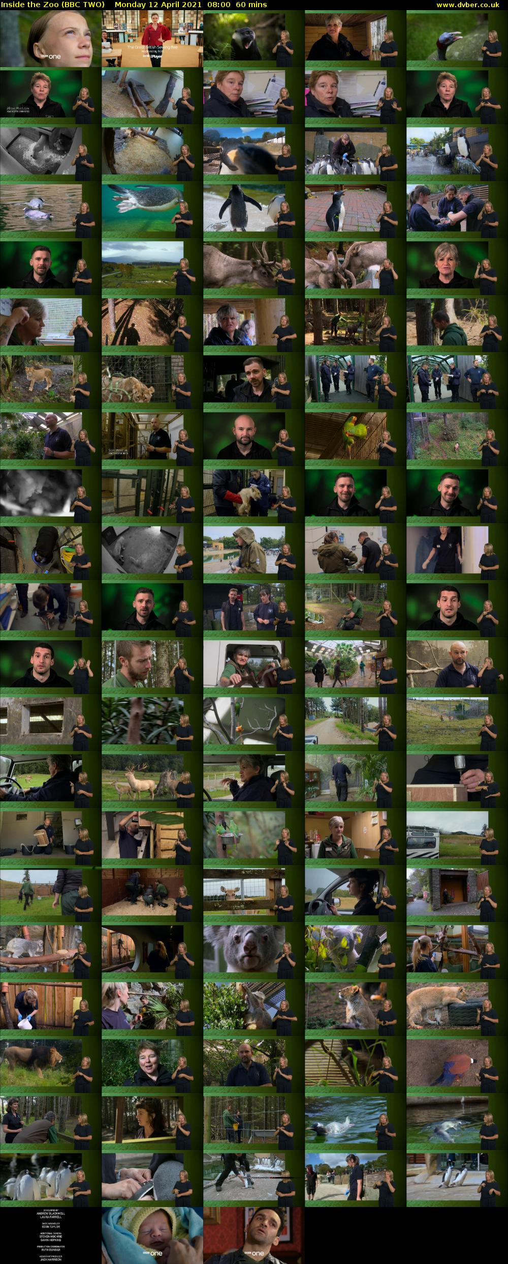 Inside the Zoo (BBC TWO) Monday 12 April 2021 08:00 - 09:00