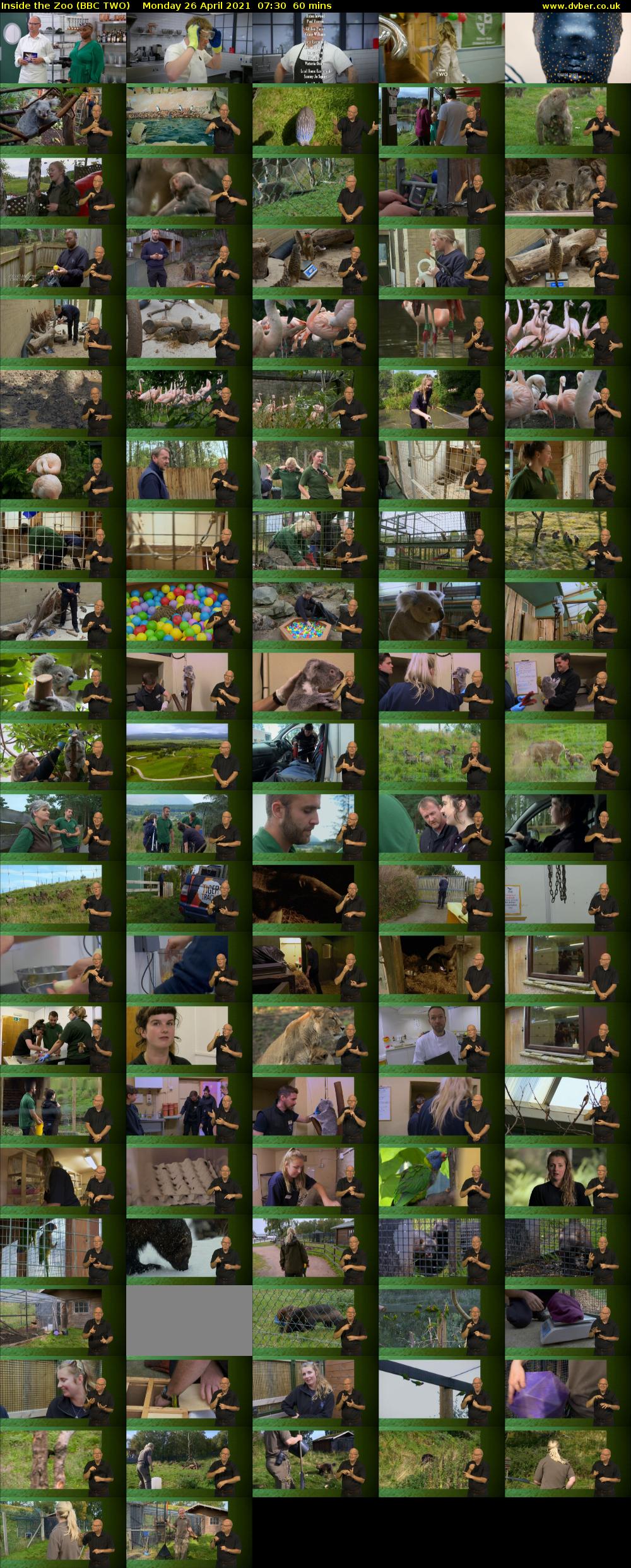 Inside the Zoo (BBC TWO) Monday 26 April 2021 07:30 - 08:30