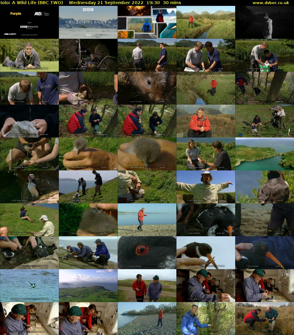 Iolo: A Wild Life (BBC TWO) Wednesday 21 September 2022 19:30 - 20:00