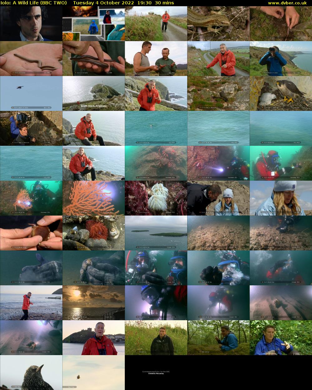 Iolo: A Wild Life (BBC TWO) Tuesday 4 October 2022 19:30 - 20:00