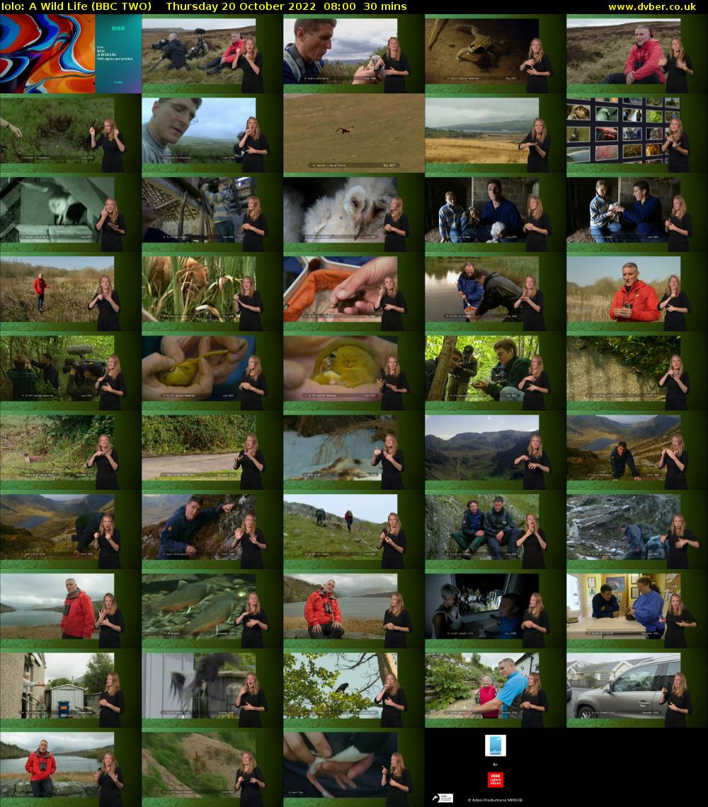 Iolo: A Wild Life (BBC TWO) Thursday 20 October 2022 08:00 - 08:30