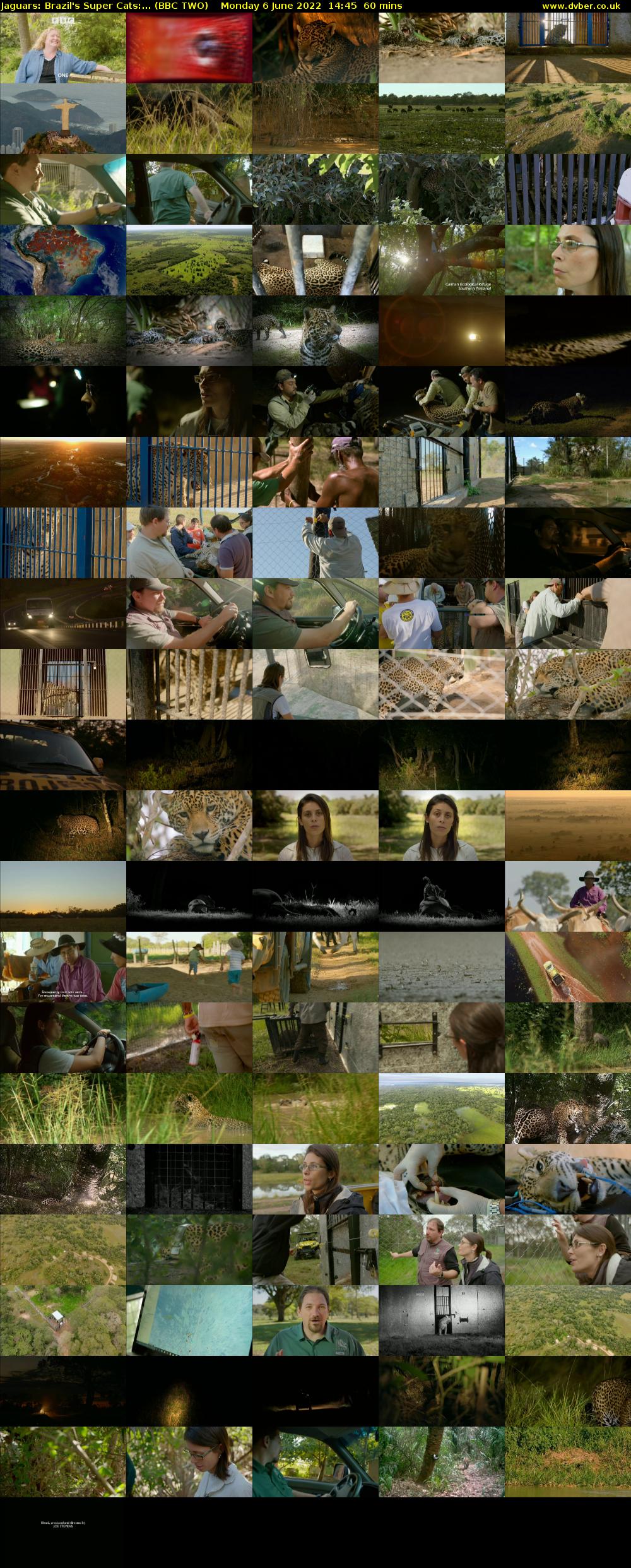 Jaguars: Brazil's Super Cats:... (BBC TWO) Monday 6 June 2022 14:45 - 15:45