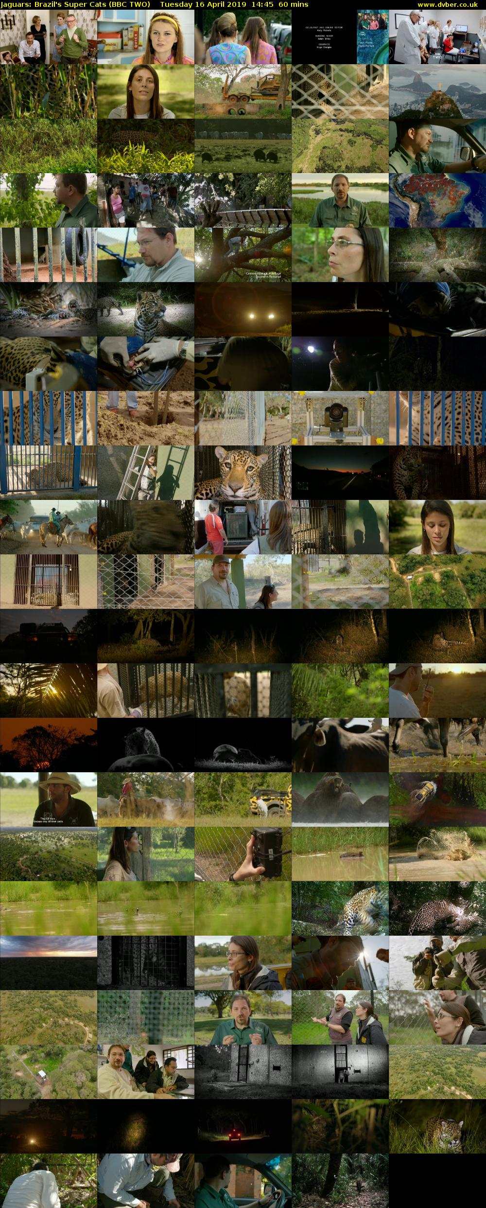 Jaguars: Brazil's Super Cats (BBC TWO) Tuesday 16 April 2019 14:45 - 15:45