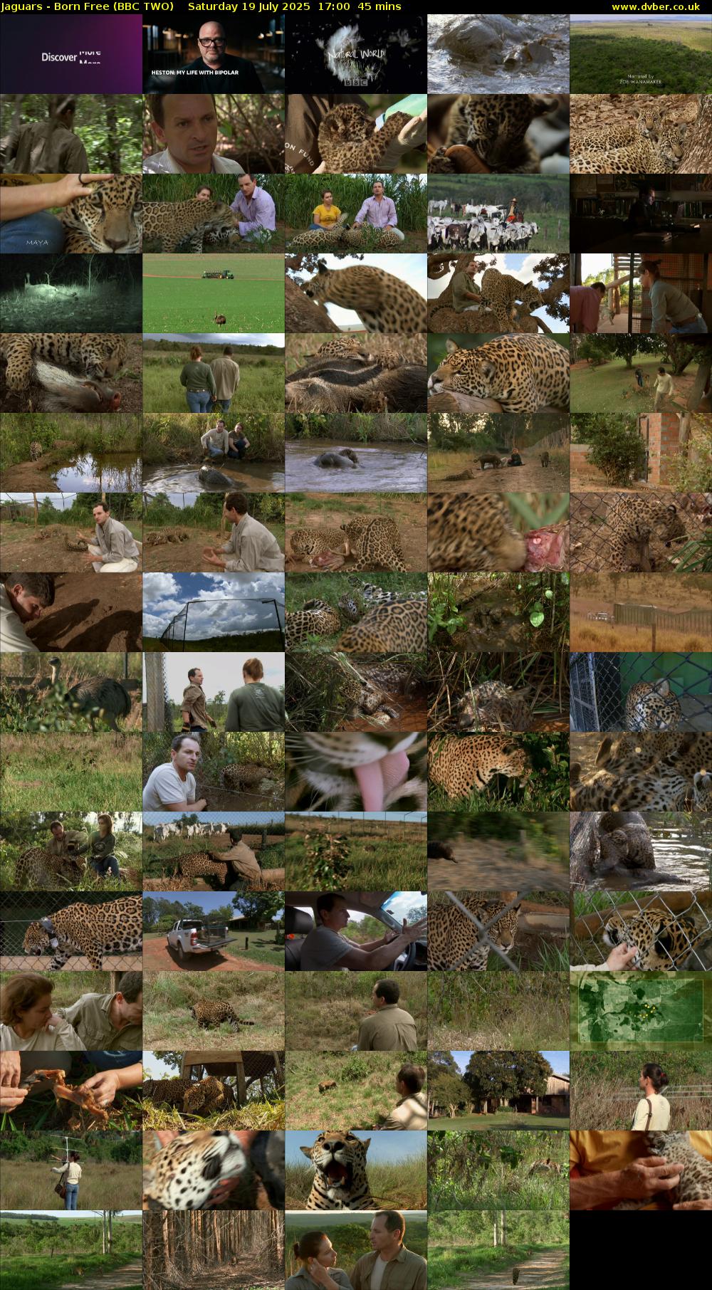 Jaguars - Born Free (BBC TWO) Saturday 19 July 2025 17:00 - 17:45
