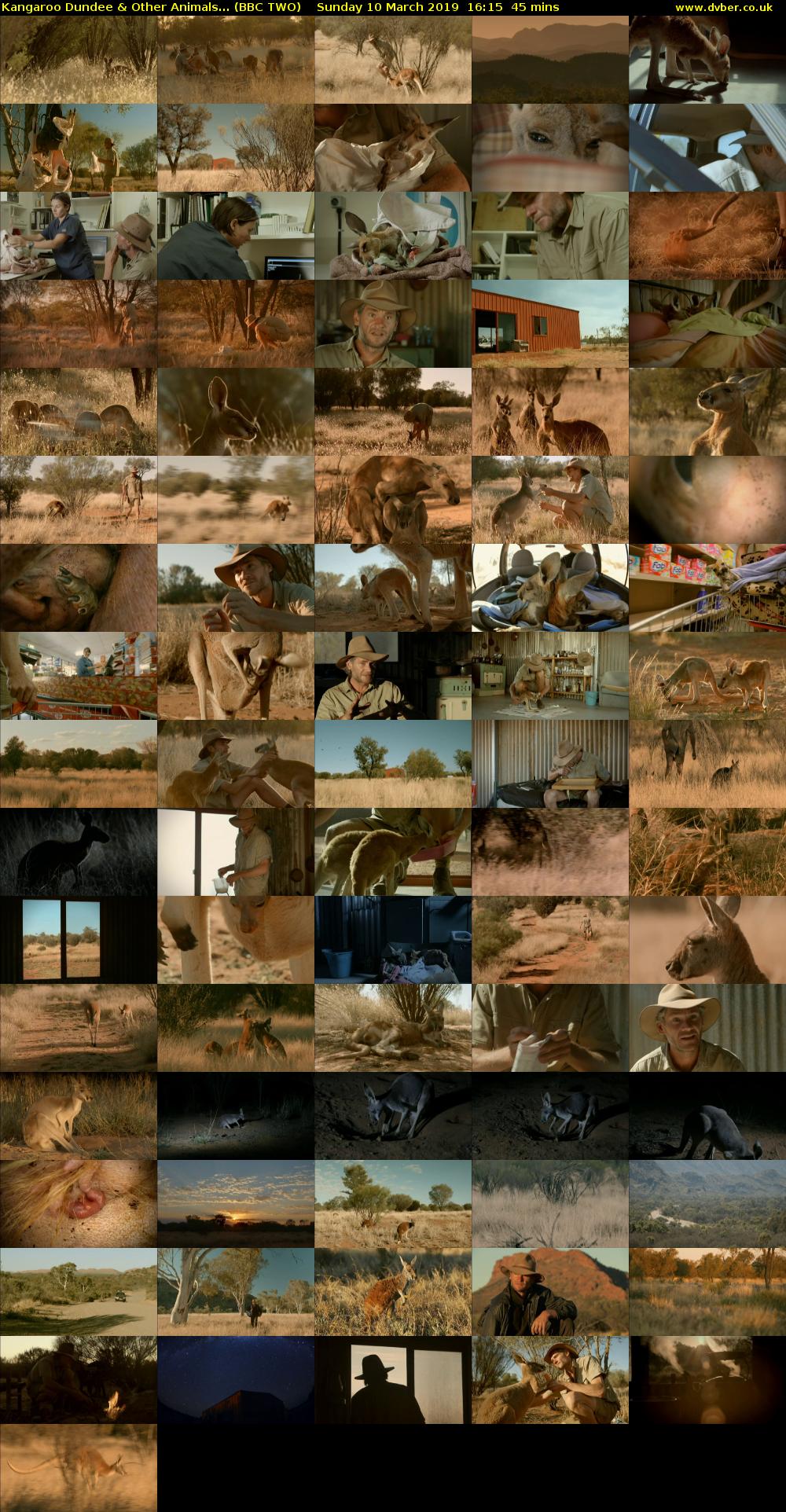 Kangaroo Dundee & Other Animals... (BBC TWO) Sunday 10 March 2019 16:15 - 17:00
