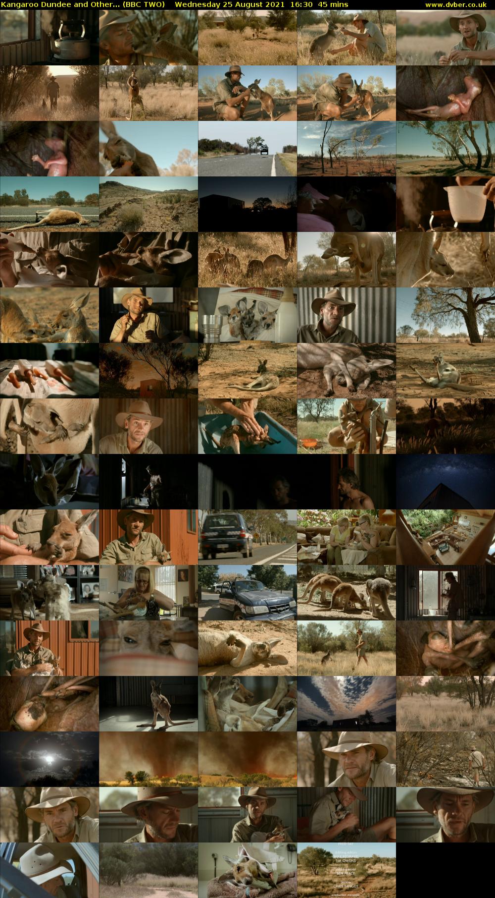 Kangaroo Dundee and Other... (BBC TWO) Wednesday 25 August 2021 16:30 - 17:15