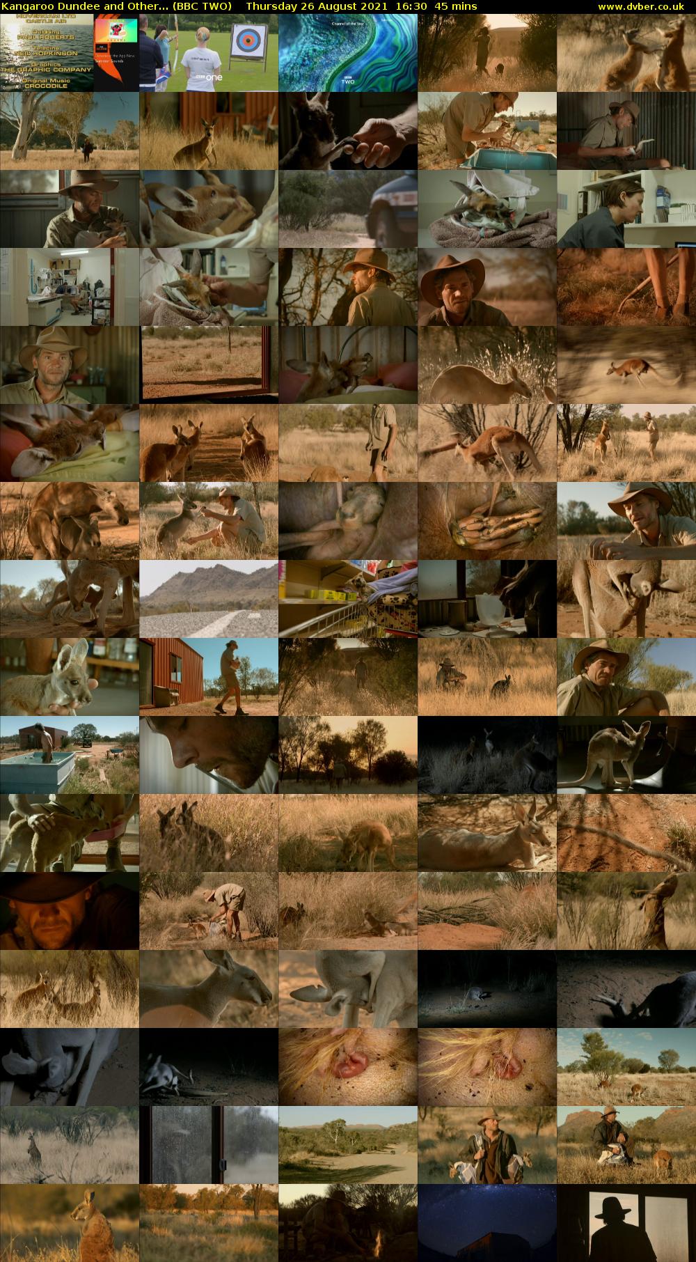 Kangaroo Dundee and Other... (BBC TWO) Thursday 26 August 2021 16:30 - 17:15