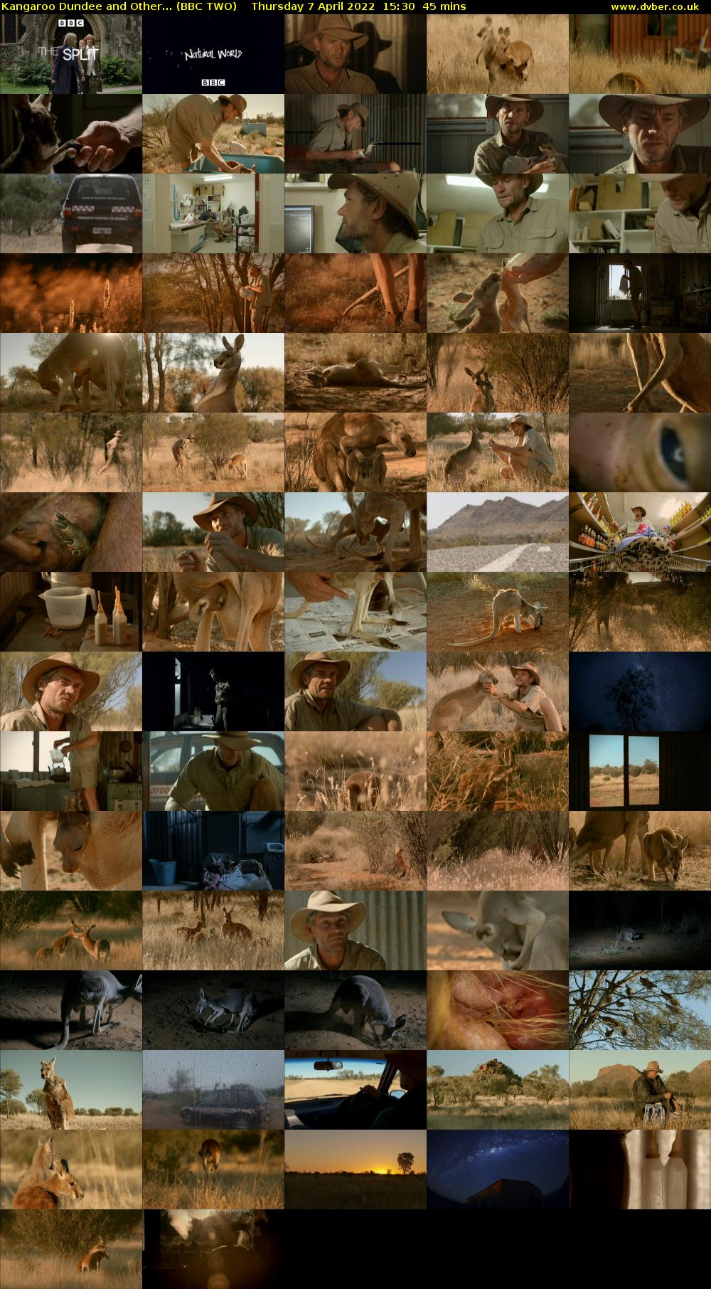 Kangaroo Dundee and Other... (BBC TWO) Thursday 7 April 2022 15:30 - 16:15