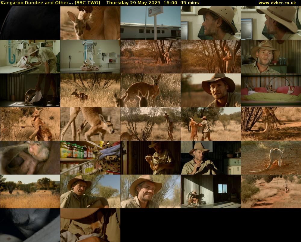 Kangaroo Dundee and Other... (BBC TWO) Thursday 29 May 2025 16:00 - 16:45