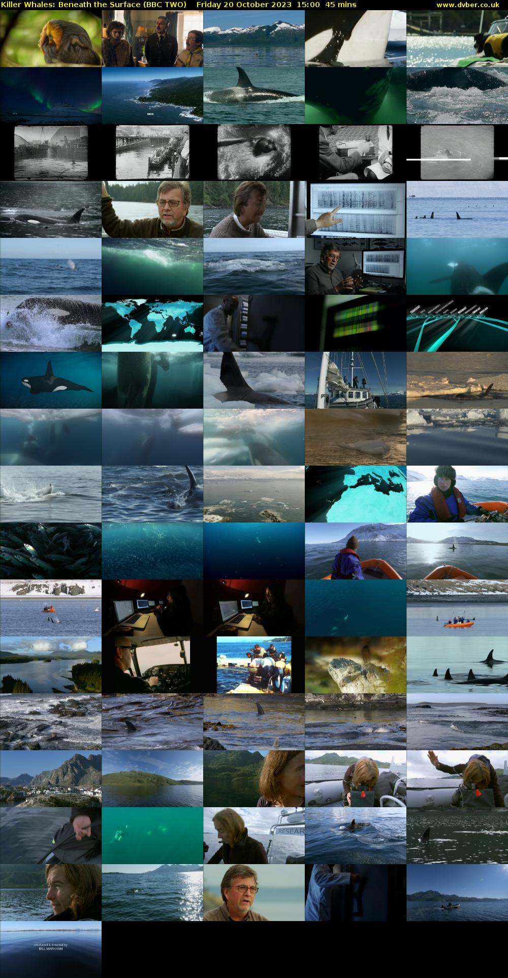 Killer Whales: Beneath the Surface (BBC TWO) Friday 20 October 2023 15:00 - 15:45