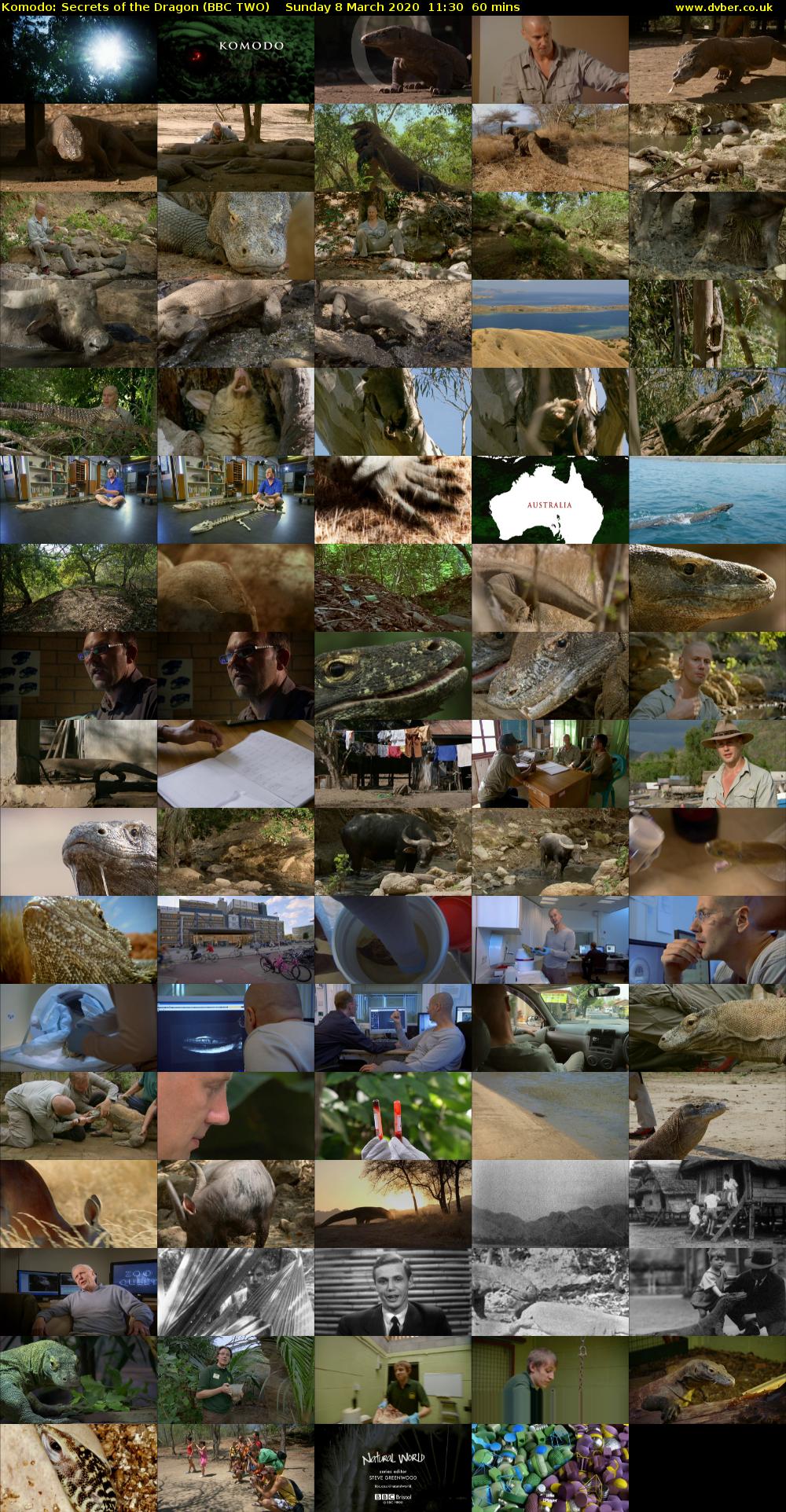 Komodo: Secrets of the Dragon (BBC TWO) Sunday 8 March 2020 11:30 - 12:30
