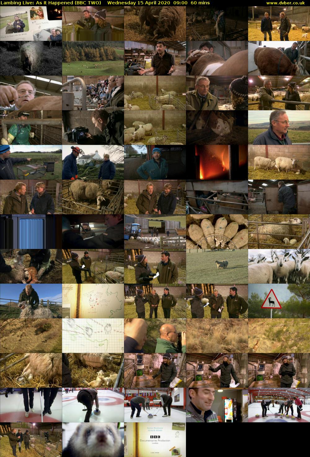 Lambing Live: As It Happened (BBC TWO) Wednesday 15 April 2020 09:00 - 10:00