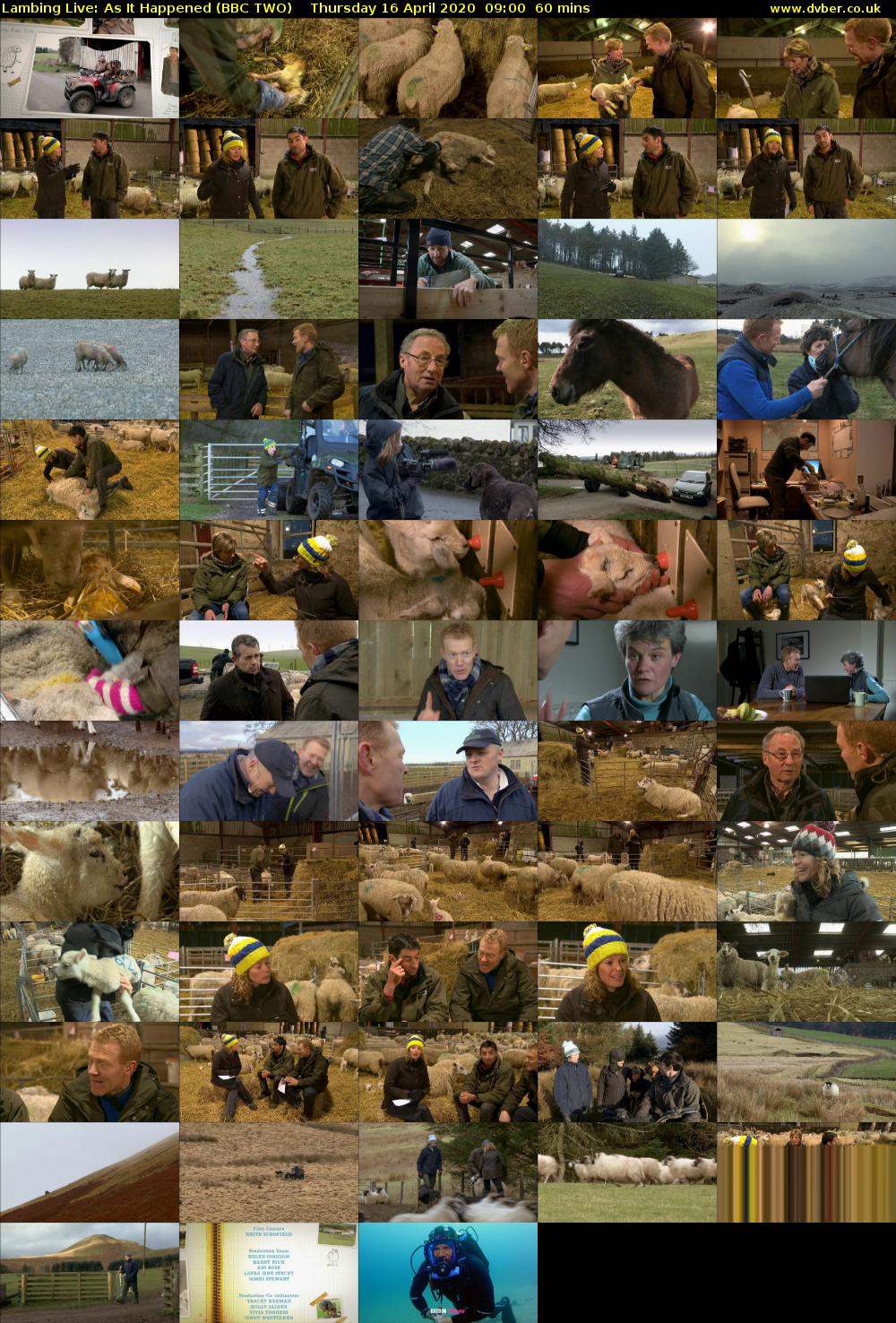 Lambing Live: As It Happened (BBC TWO) Thursday 16 April 2020 09:00 - 10:00