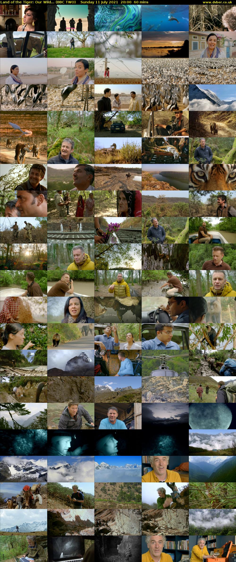 Land of the Tiger: Our Wild... (BBC TWO) Sunday 11 July 2021 20:00 - 21:00