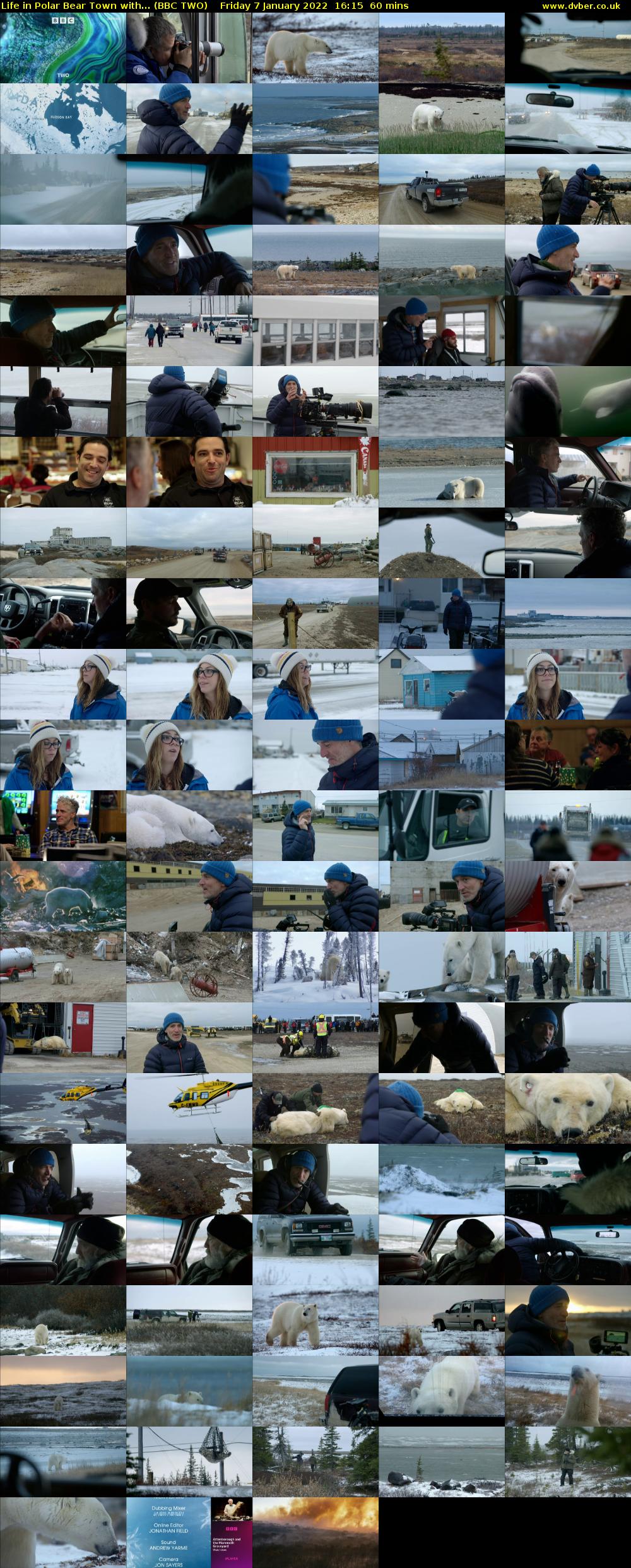 Life in Polar Bear Town with... (BBC TWO) Friday 7 January 2022 16:15 - 17:15