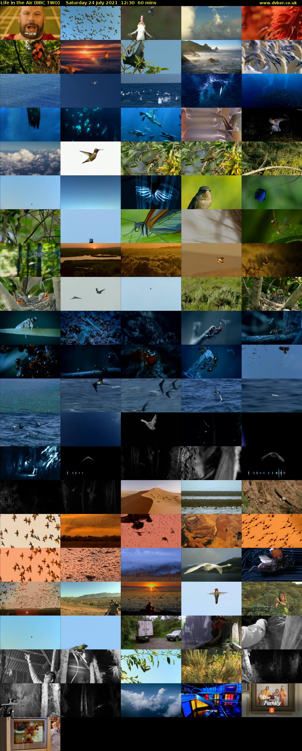 Life in the Air (BBC TWO) Saturday 24 July 2021 12:30 - 13:30