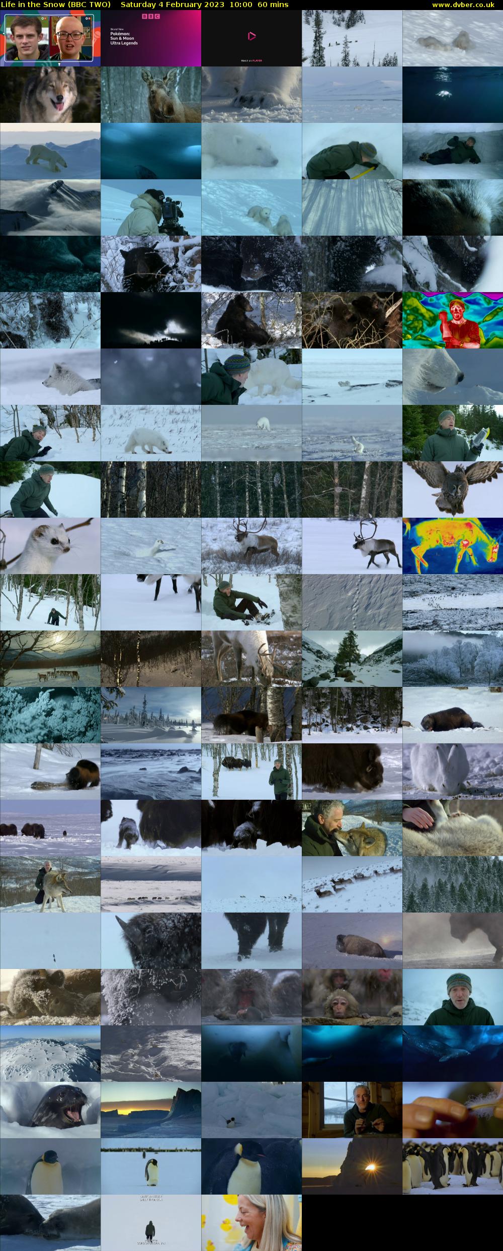 Life in the Snow (BBC TWO) Saturday 4 February 2023 10:00 - 11:00