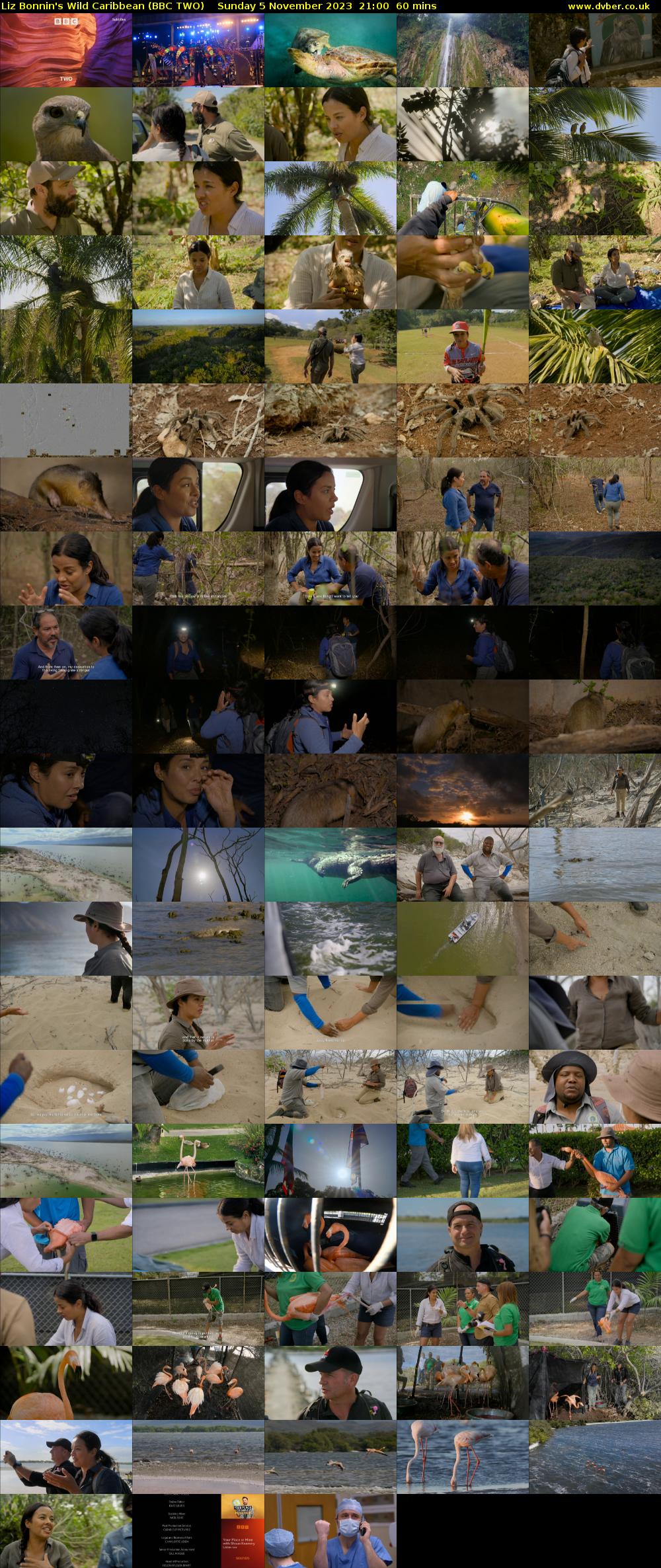 Liz Bonnin's Wild Caribbean (BBC TWO) Sunday 5 November 2023 21:00 - 22:00