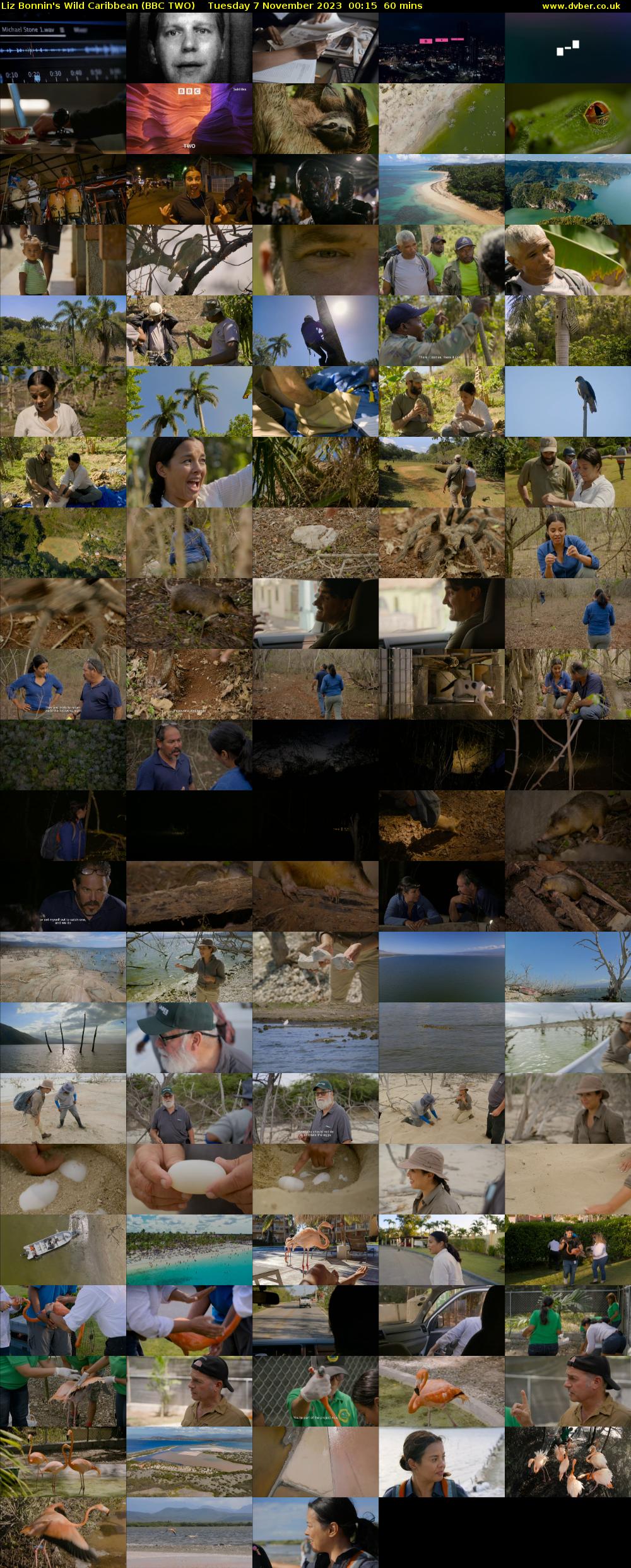 Liz Bonnin's Wild Caribbean (BBC TWO) Tuesday 7 November 2023 00:15 - 01:15