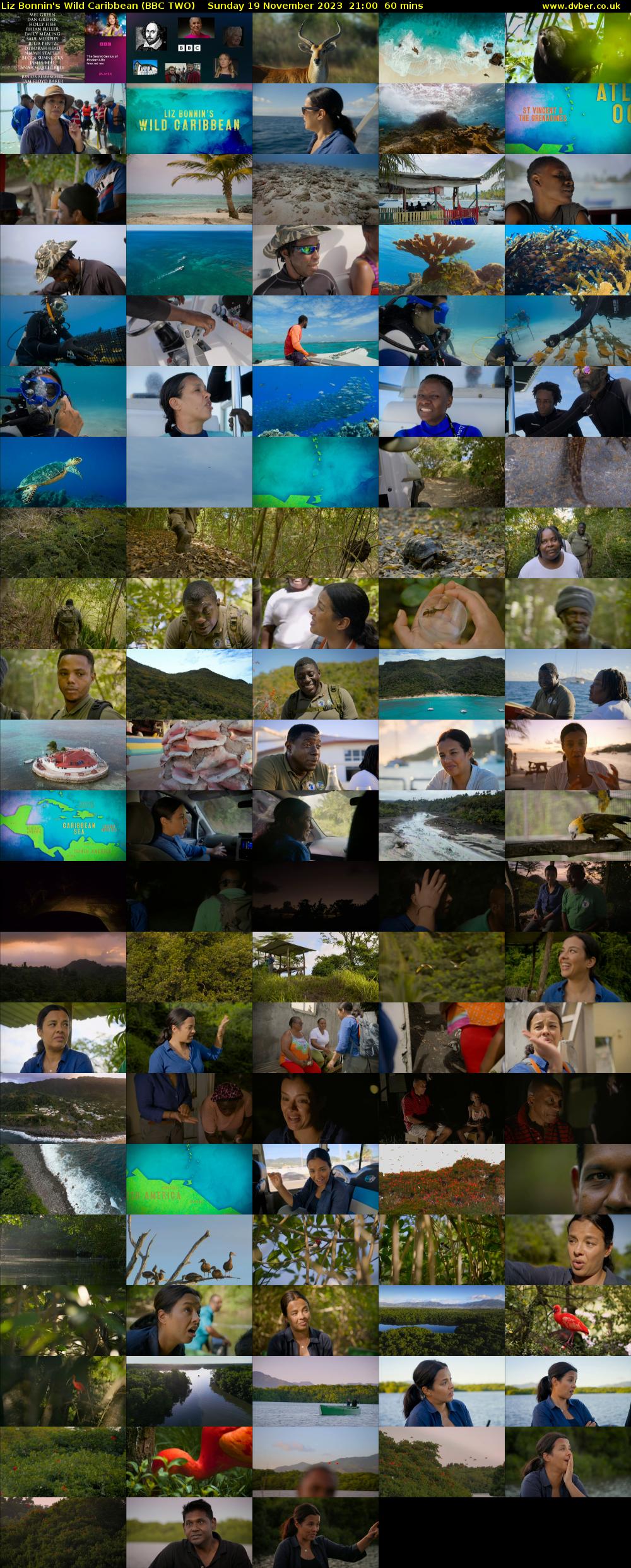 Liz Bonnin's Wild Caribbean (BBC TWO) Sunday 19 November 2023 21:00 - 22:00