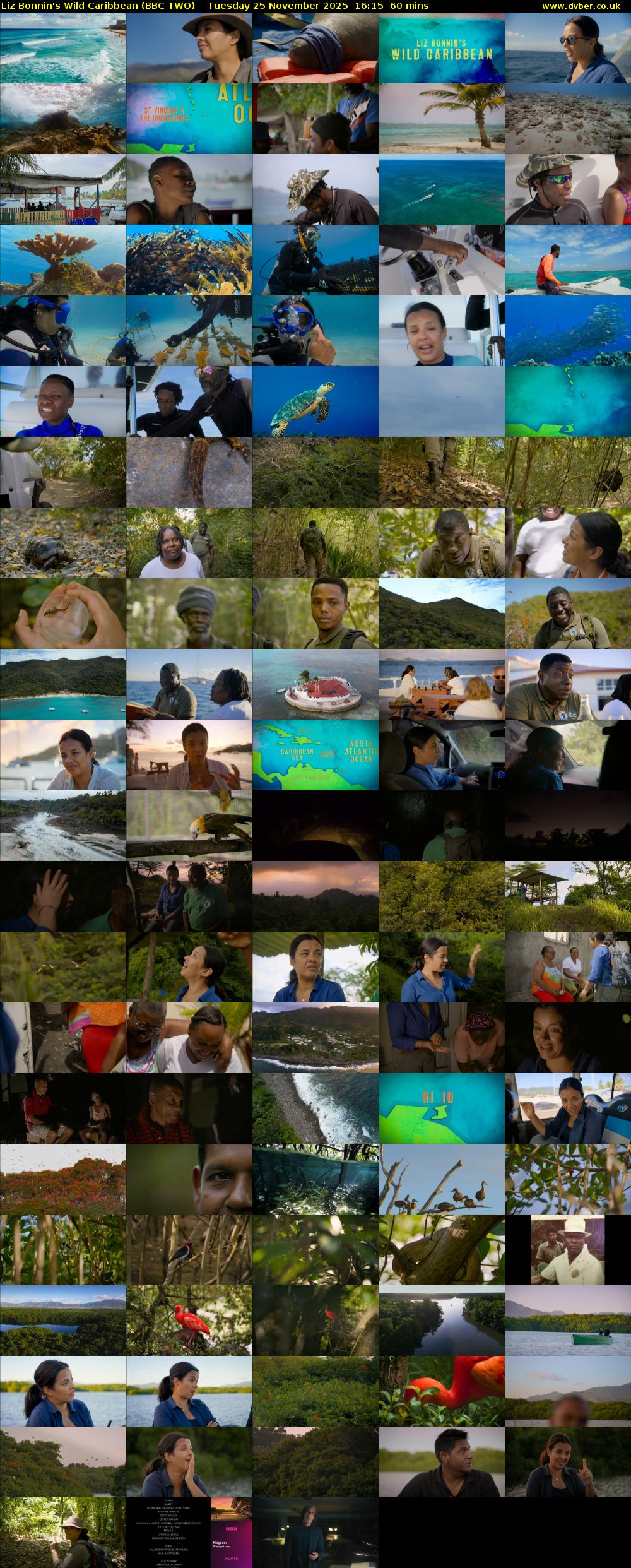 Liz Bonnin's Wild Caribbean (BBC TWO) Tuesday 25 November 2025 16:15 - 17:15