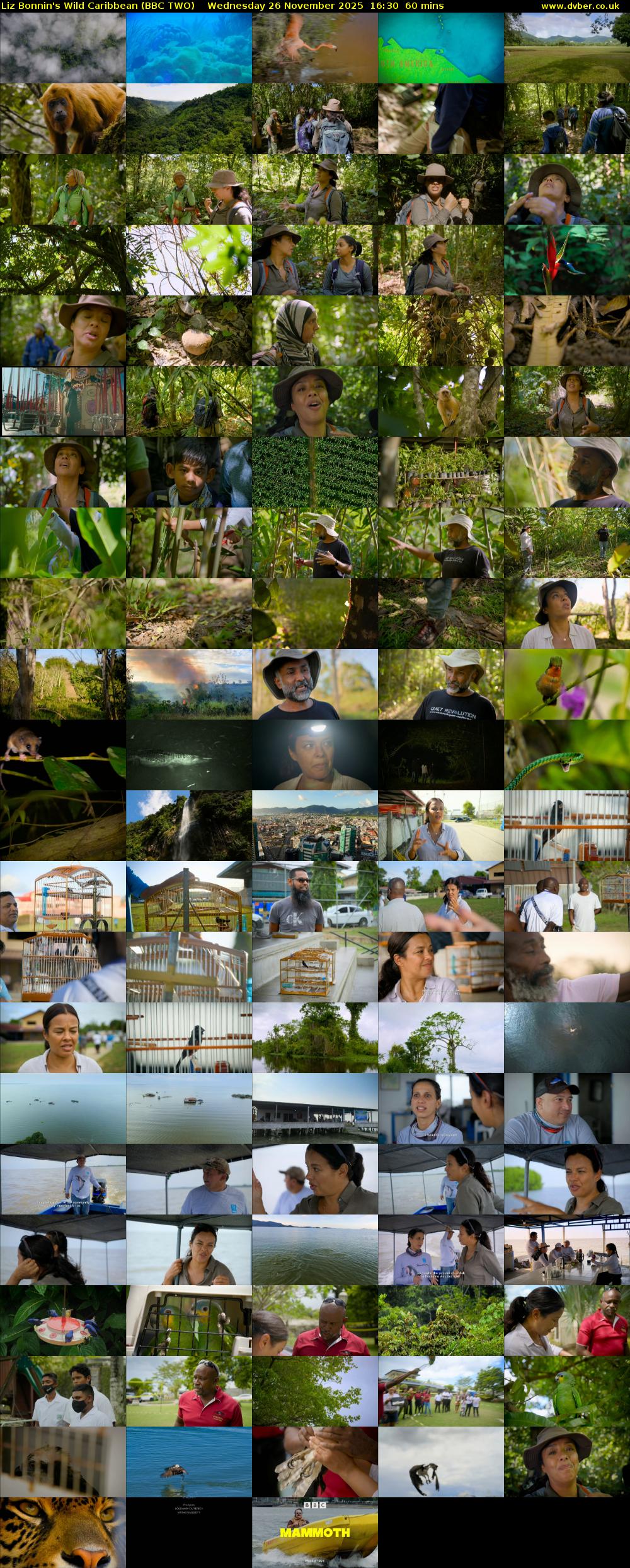 Liz Bonnin's Wild Caribbean (BBC TWO) Wednesday 26 November 2025 16:30 - 17:30