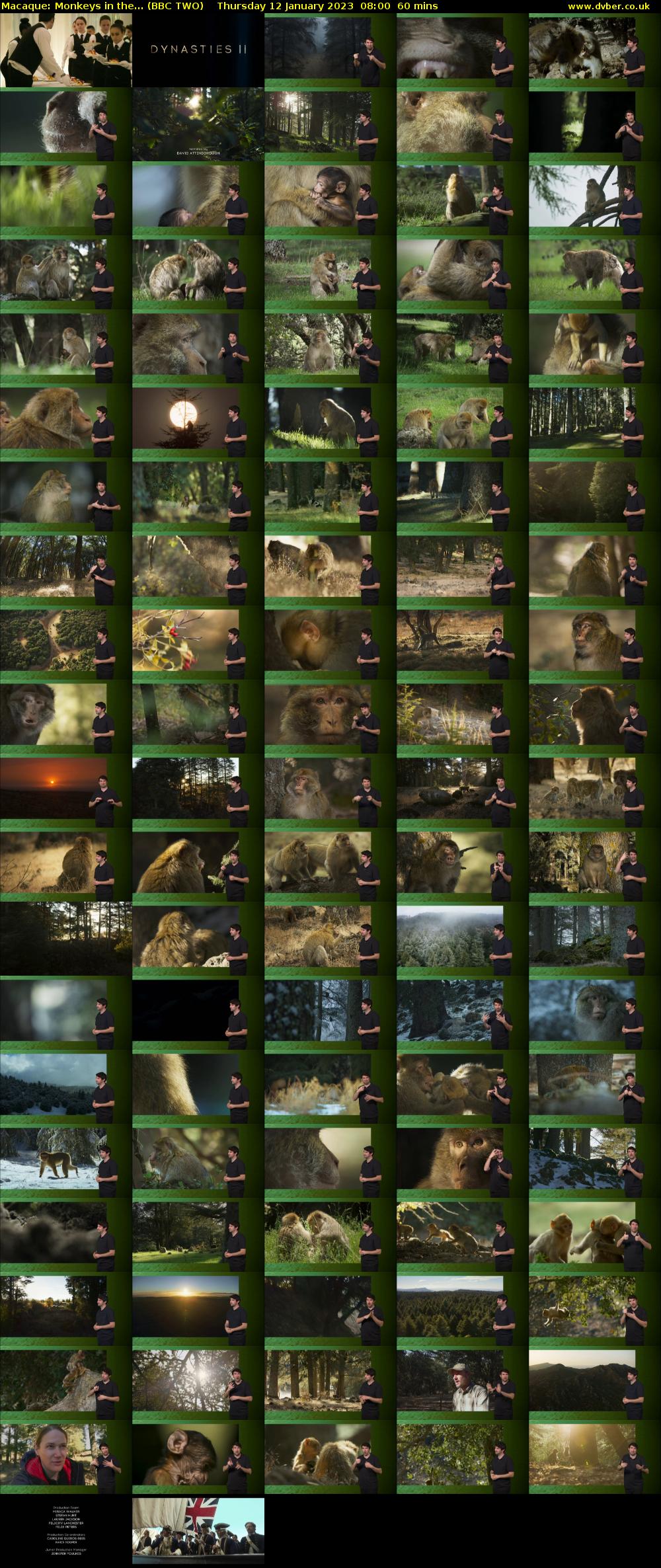 Macaque: Monkeys in the... (BBC TWO) Thursday 12 January 2023 08:00 - 09:00