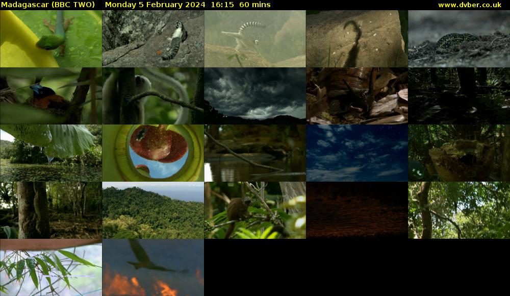 Madagascar (BBC TWO) Monday 5 February 2024 16:15 - 17:15