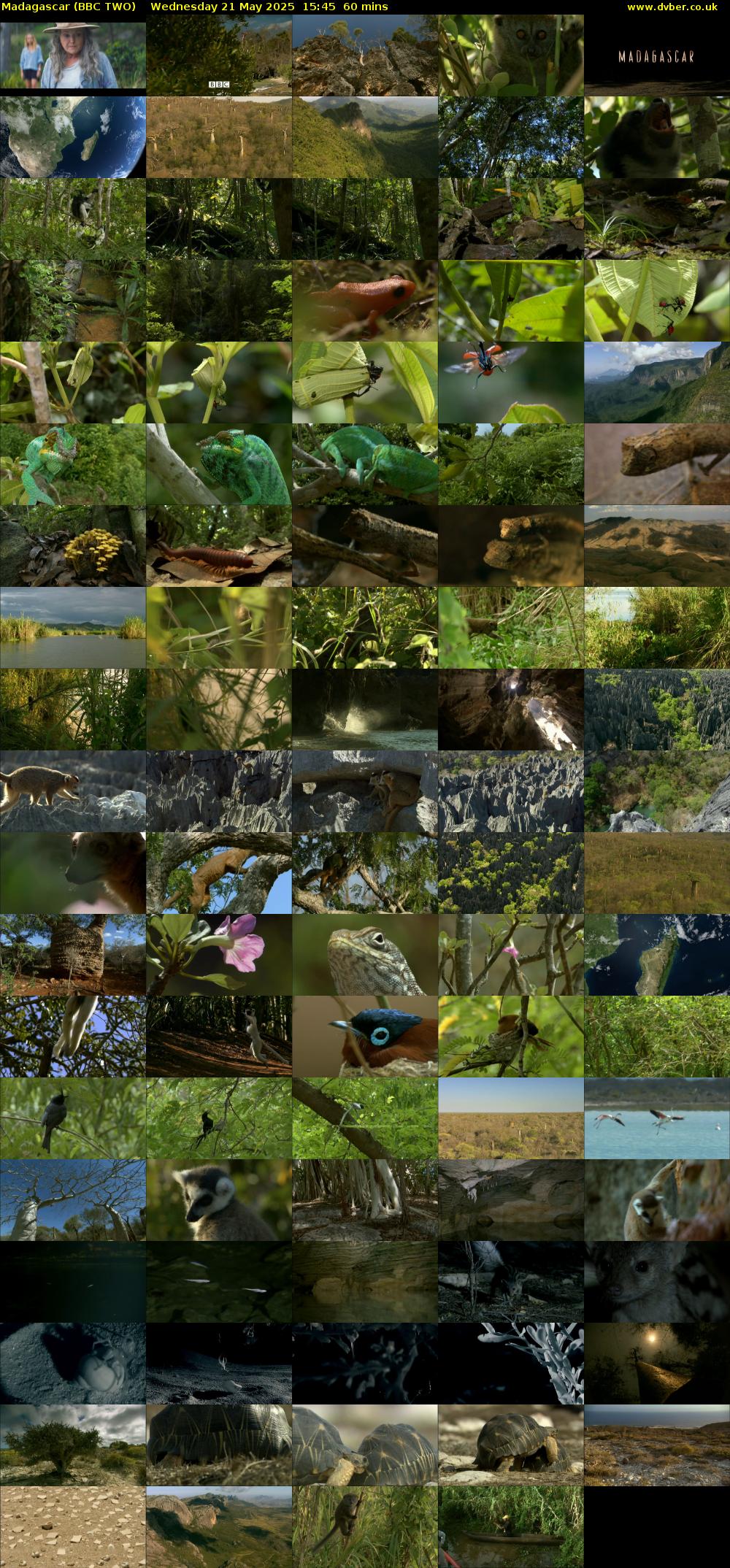 Madagascar (BBC TWO) Wednesday 21 May 2025 15:45 - 16:45