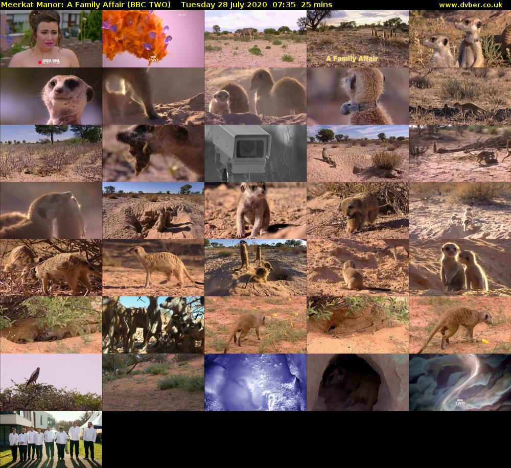 Meerkat Manor: A Family Affair (BBC TWO) Tuesday 28 July 2020 07:35 - 08:00