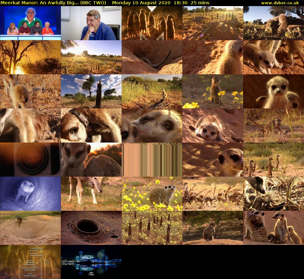 Meerkat Manor: An Awfully Big... (BBC TWO) Monday 10 August 2020 18:30 - 18:55