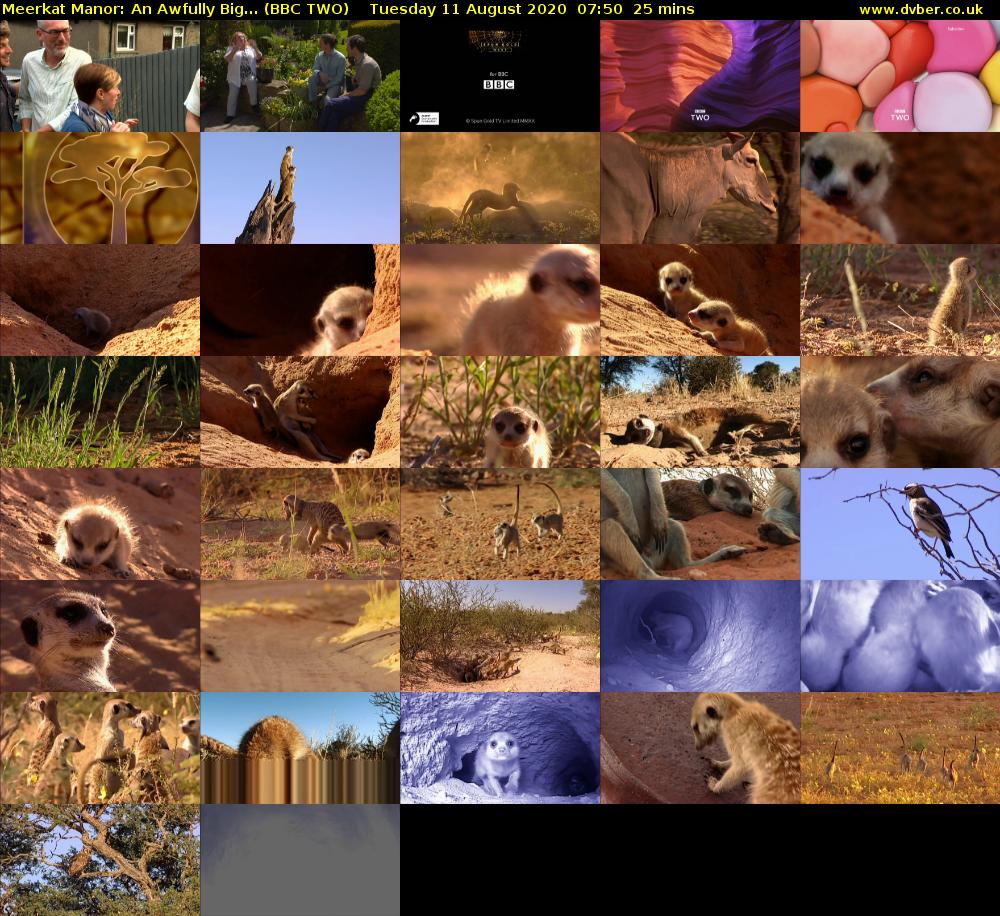 Meerkat Manor: An Awfully Big... (BBC TWO) Tuesday 11 August 2020 07:50 - 08:15