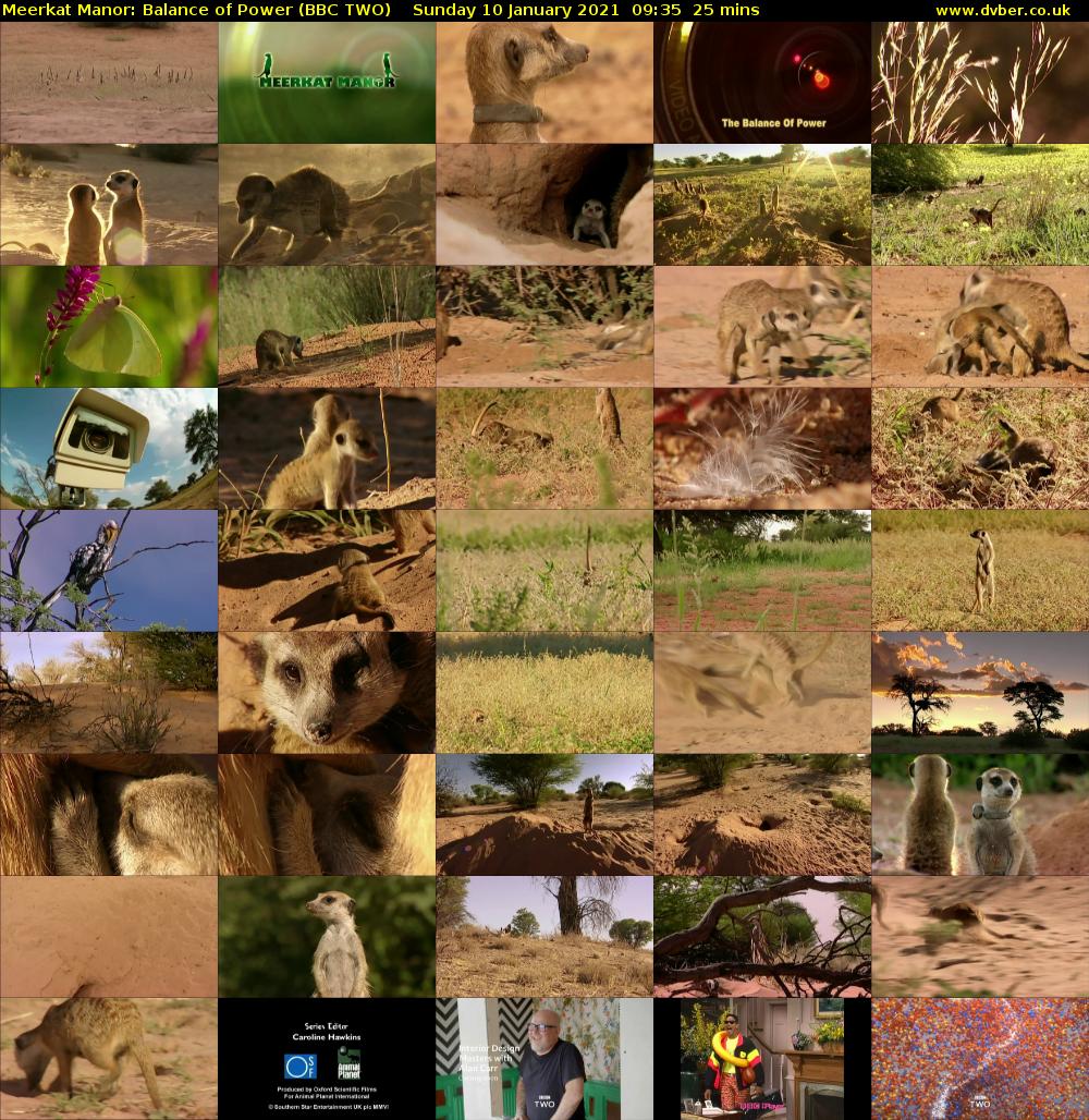 Meerkat Manor: Balance of Power (BBC TWO) Sunday 10 January 2021 09:35 - 10:00