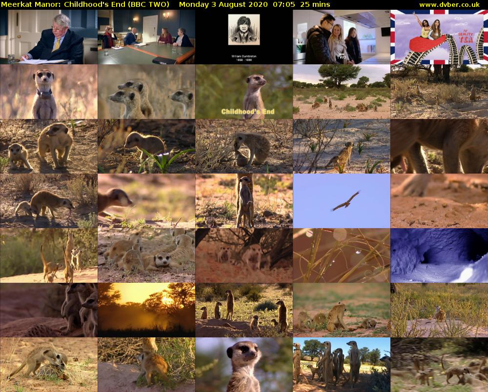 Meerkat Manor: Childhood's End (BBC TWO) Monday 3 August 2020 07:05 - 07:30