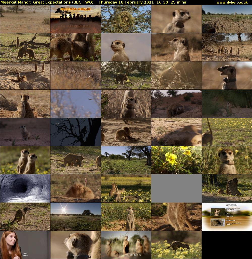 Meerkat Manor: Great Expectations (BBC TWO) Thursday 18 February 2021 16:30 - 16:55
