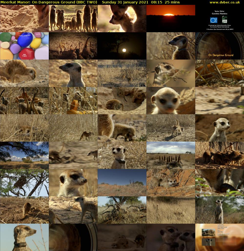 Meerkat Manor: On Dangerous Ground (BBC TWO) Sunday 31 January 2021 08:15 - 08:40