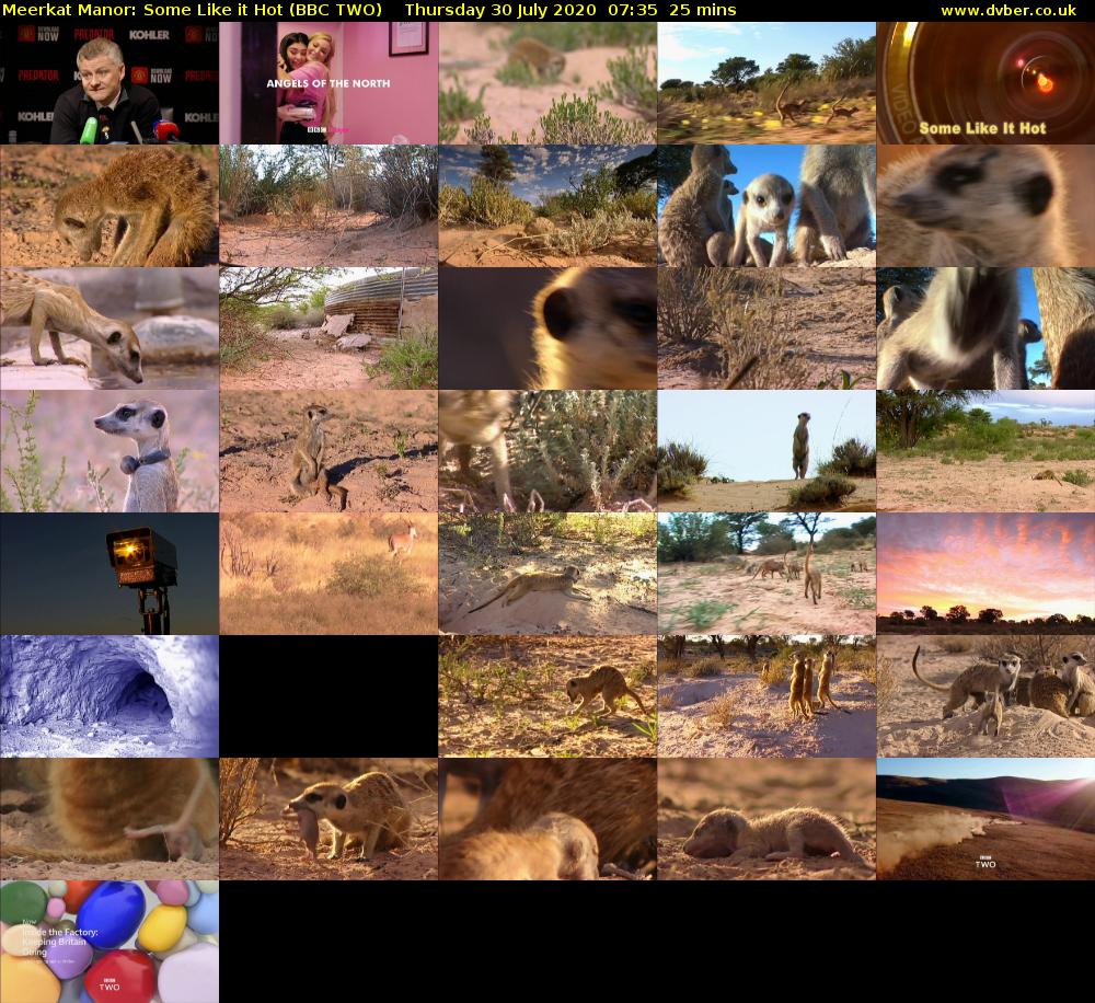 Meerkat Manor: Some Like it Hot (BBC TWO) Thursday 30 July 2020 07:35 - 08:00