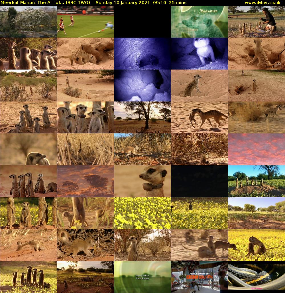 Meerkat Manor: The Art of... (BBC TWO) Sunday 10 January 2021 09:10 - 09:35
