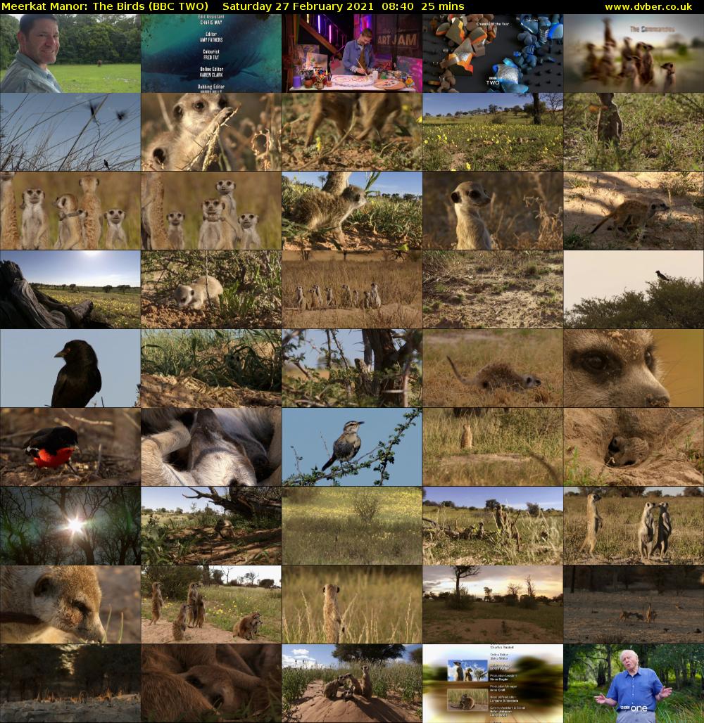 Meerkat Manor: The Birds (BBC TWO) Saturday 27 February 2021 08:40 - 09:05