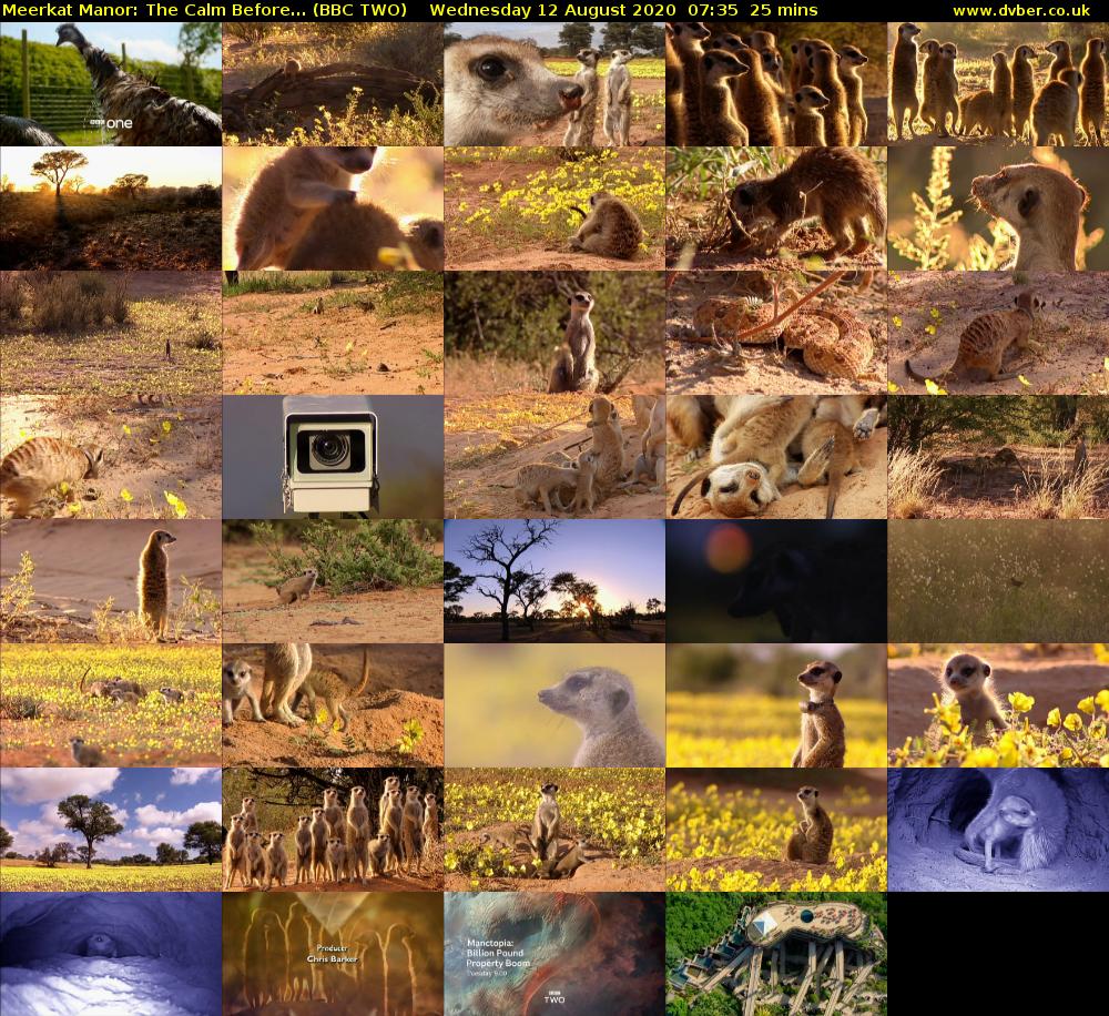 Meerkat Manor: The Calm Before... (BBC TWO) Wednesday 12 August 2020 07:35 - 08:00