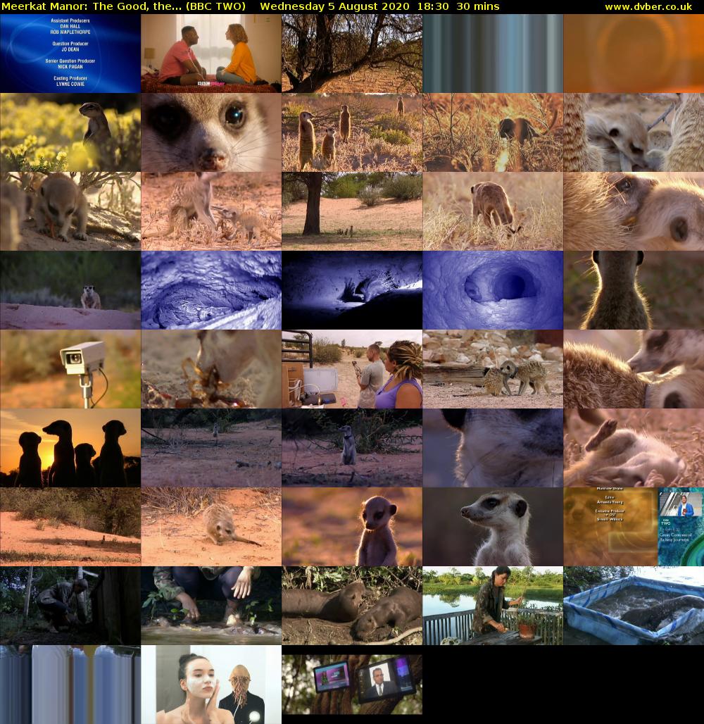 Meerkat Manor: The Good, the... (BBC TWO) Wednesday 5 August 2020 18:30 - 19:00
